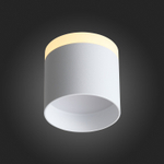 ST102.502.12 Светильник потолочный Белый LED 1*12W 3000K 936Lm Ra&gt;80 120° IP20 D100xH90 170-240V Накладные светильники