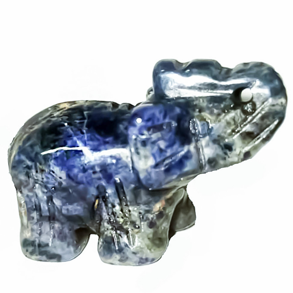 Слон содалит асс.