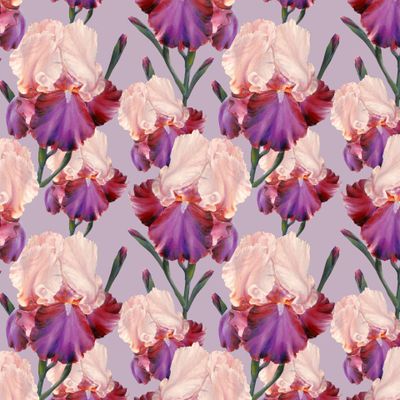 Ирис. Цветочный бесшовный паттерн. pattern with iris flowers.