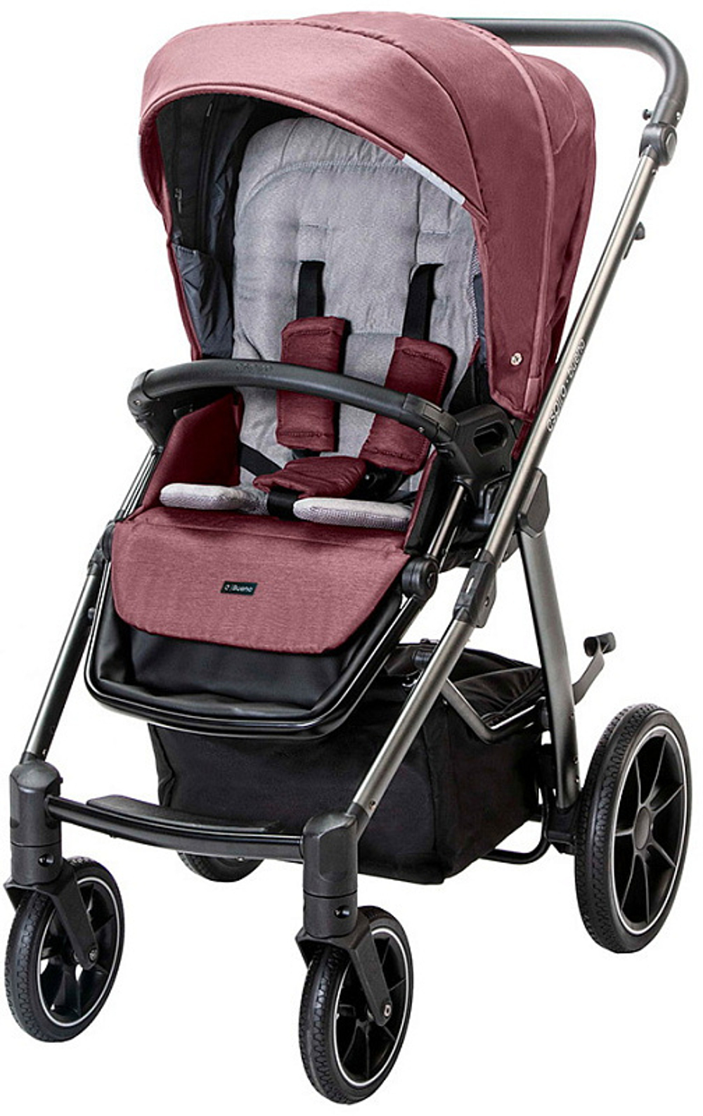 Детская коляска Espiro Bueno 2 в 1 2023 308 Heather pink