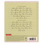 Тетрадь школьная А5 12л частая косая линия, зеленая "Классика Visio" (Erich Krause) микс цветов (комплект 3 шт)