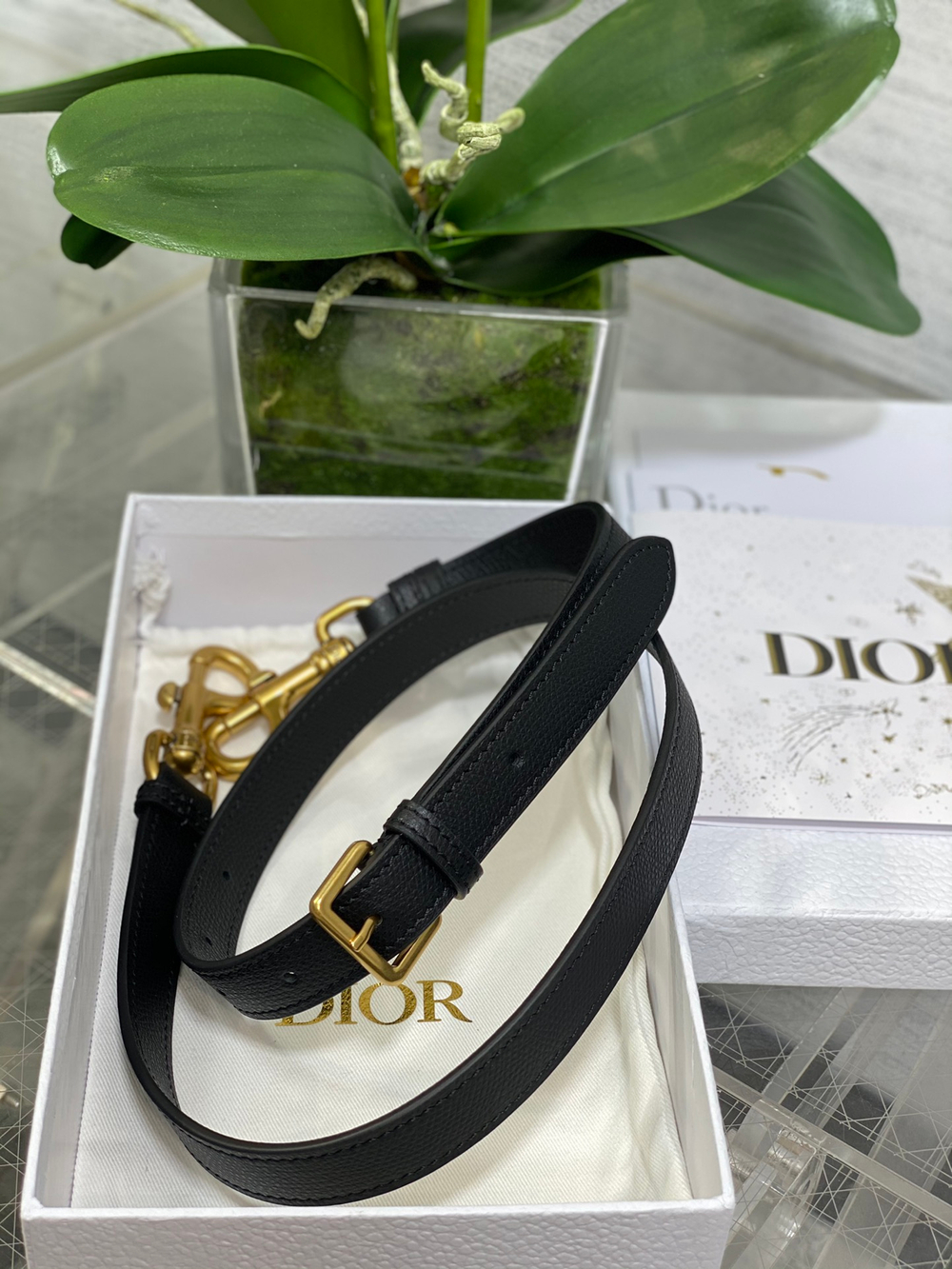 Christian Dior Saddle Bag with Strap