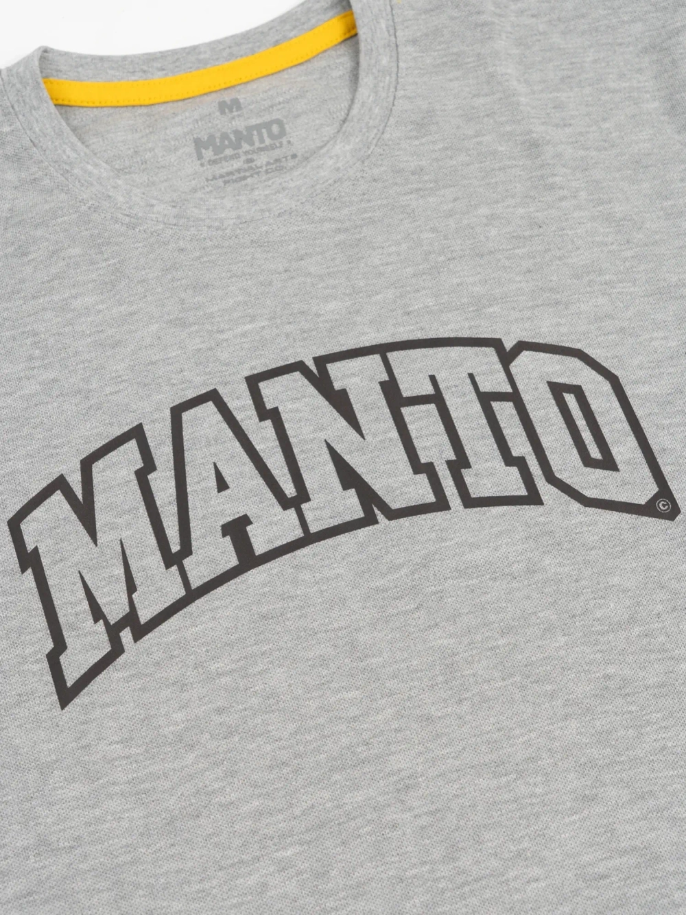 Футболка MANTO VARSITY 25 серая