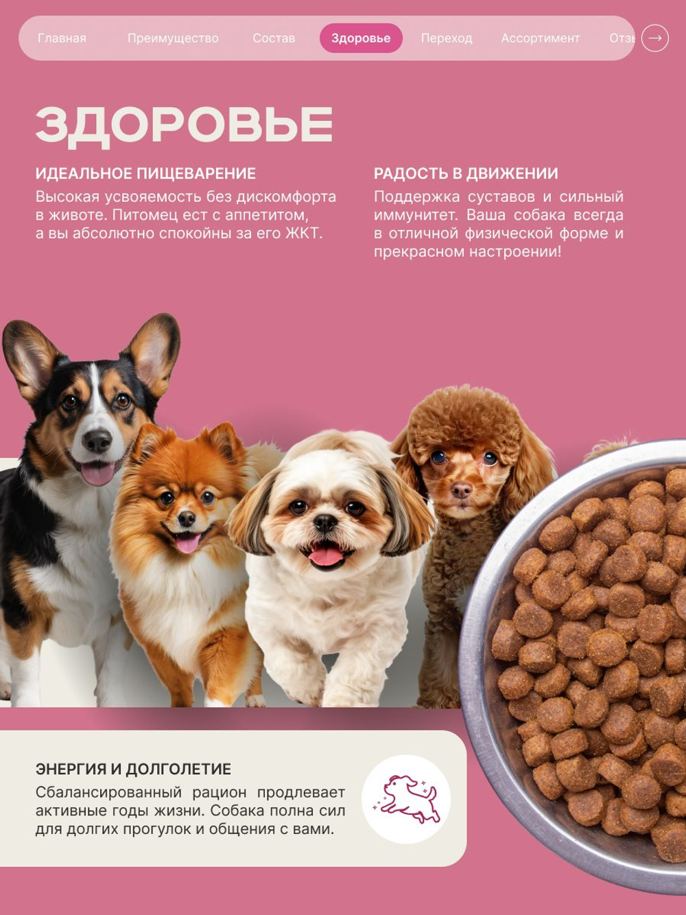 Корм сухой для взрослых собак породы Пекинес, с говядиной, 800 гр, QUATTRO