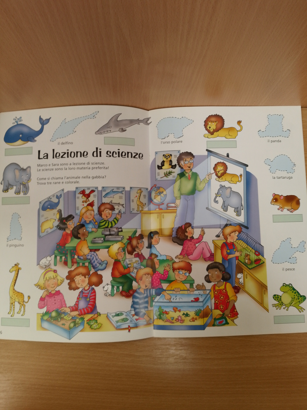 Il mio primo dizionario illustrato d'italiano: La scuola + stickers