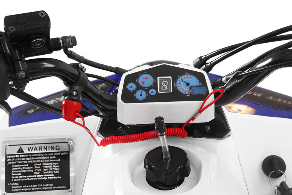 Yacota 110 Raposa 7" 2WD детский квадроцикл с двигателем 110 куб/см