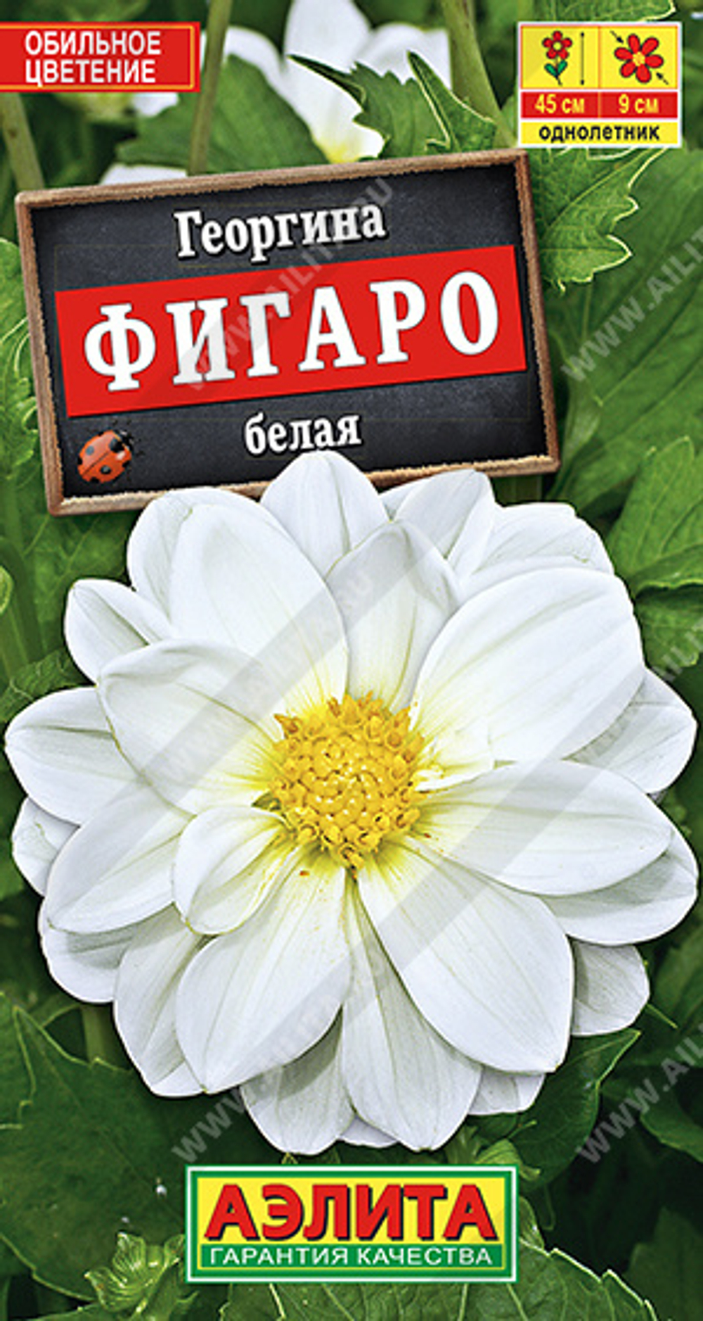 Георгина Фигаро белая махровая 7шт Аэлита