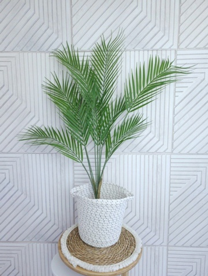 Пальма Арека 90 см