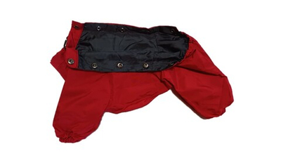 Комбинезон - Демисезонный (с подкладкой) 20 девочка (обхват груди 35 - 40)