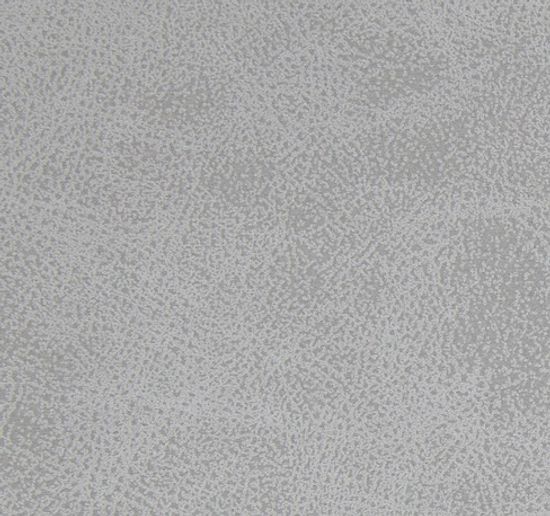 замша Federica Ash