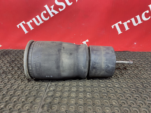 Подушка пневмоподвески задняя 2018г.