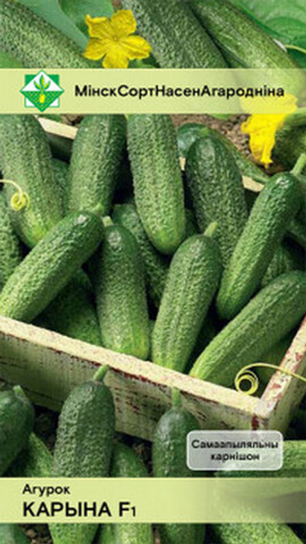 Огурец "Коринна F1" 10шт, Германия.