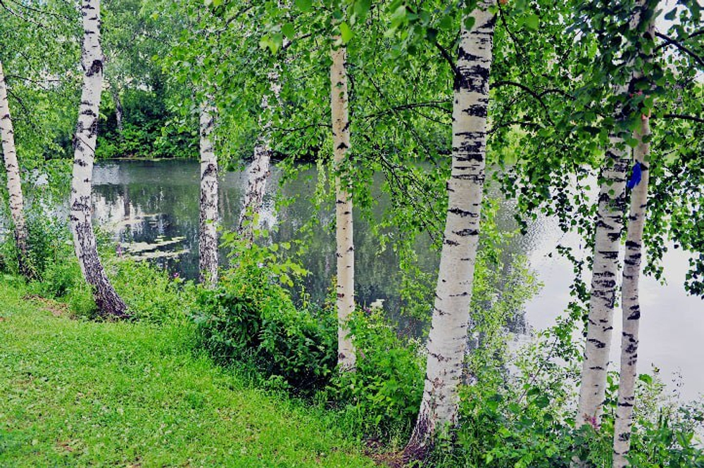 Природа №14 Фотообои и Фрески ручной работы
