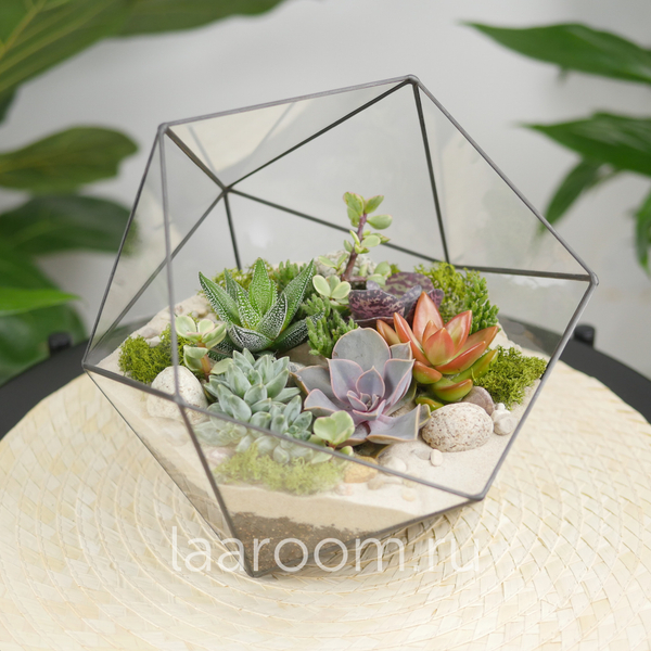 Флорариум с суккулентами Laaroom Икос