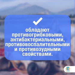 Капли ушные Цитодерм антибактериальные, для кошек и собак, 10 мл. Левофлоксацин.