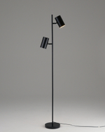 Торшер Moderli V11329-2F Ashes