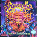 Виниловая пластинка Shpongle ‎– Museum Of Consciousness 2LP