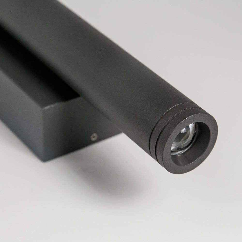 Citilux GARDA CLU0001 LED Уличный настенный светильник Графит