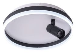 Накладной светильник Zortes Raizy ZRS.1888.03