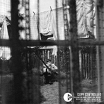 Paul McCartney / Chaos And Creation In The Backyard (CD+DVD)