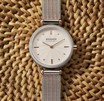 Мужские наручные часы Skagen SKW2978