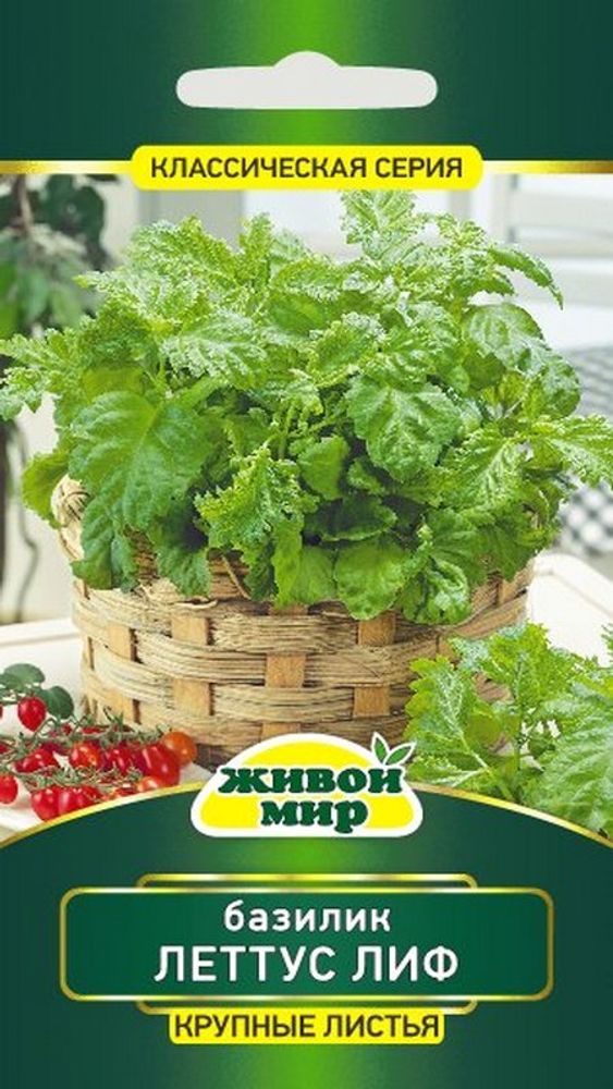 Базилик "ЖМ. Лeттyc Лиф" 0,5г., Германия. Базилик "ЖМ. Лeттyc Лиф" 0,5г., Германия.