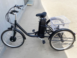 Электровелосипед трицикл GreenCamel Трайк-24 (R24 500W 48V)