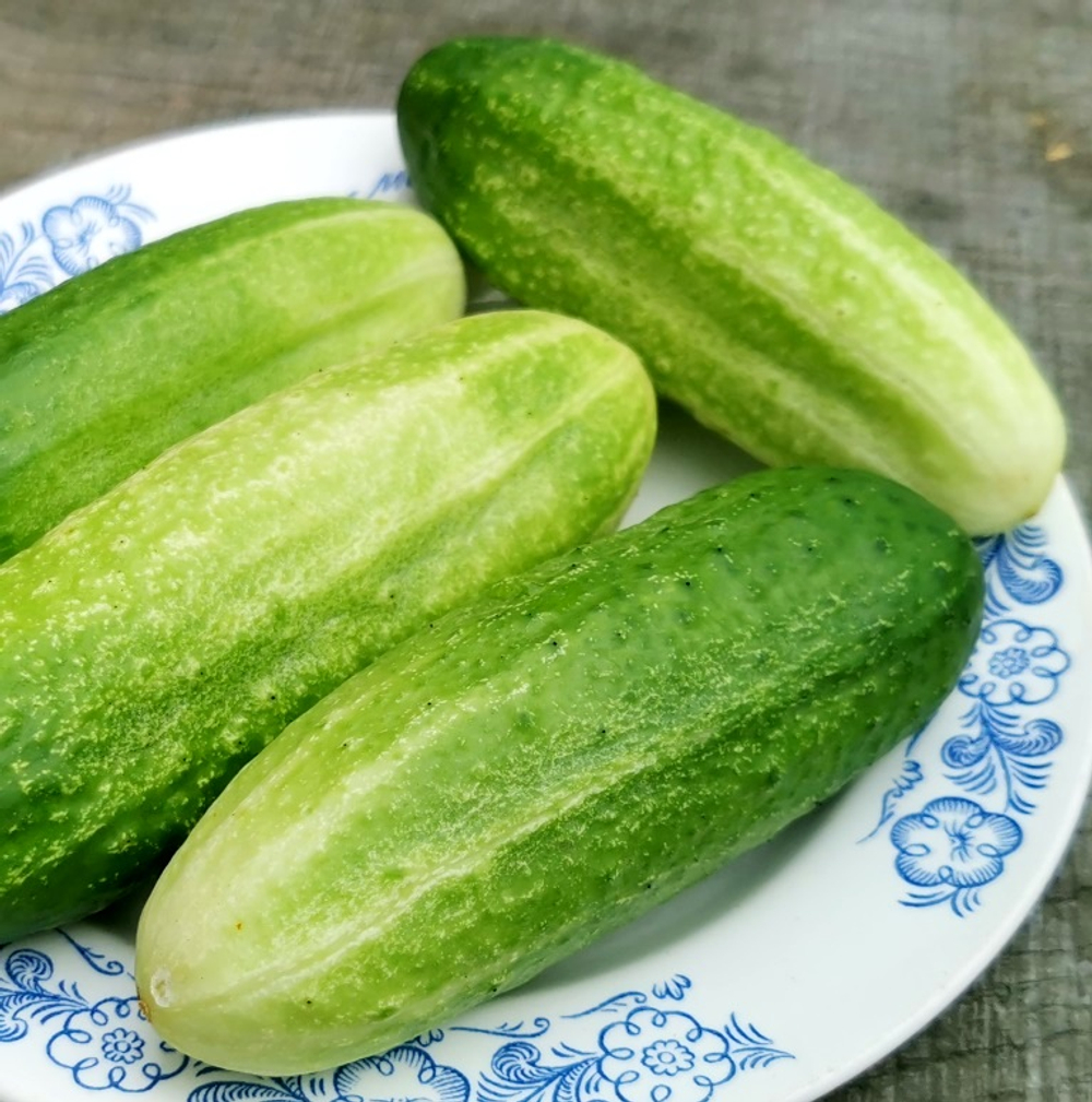 Огурцы Старые Немецкие
