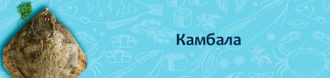 Камбала