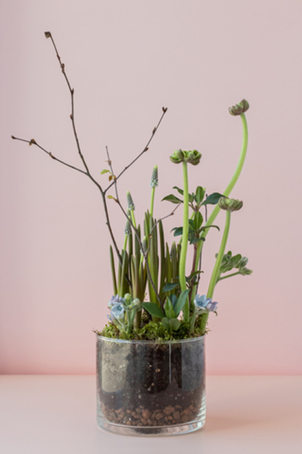 Хрустальный сад