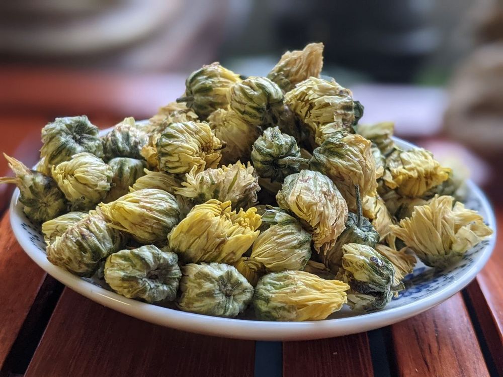 Бутоны Хризантемы или Китайская Ромашка