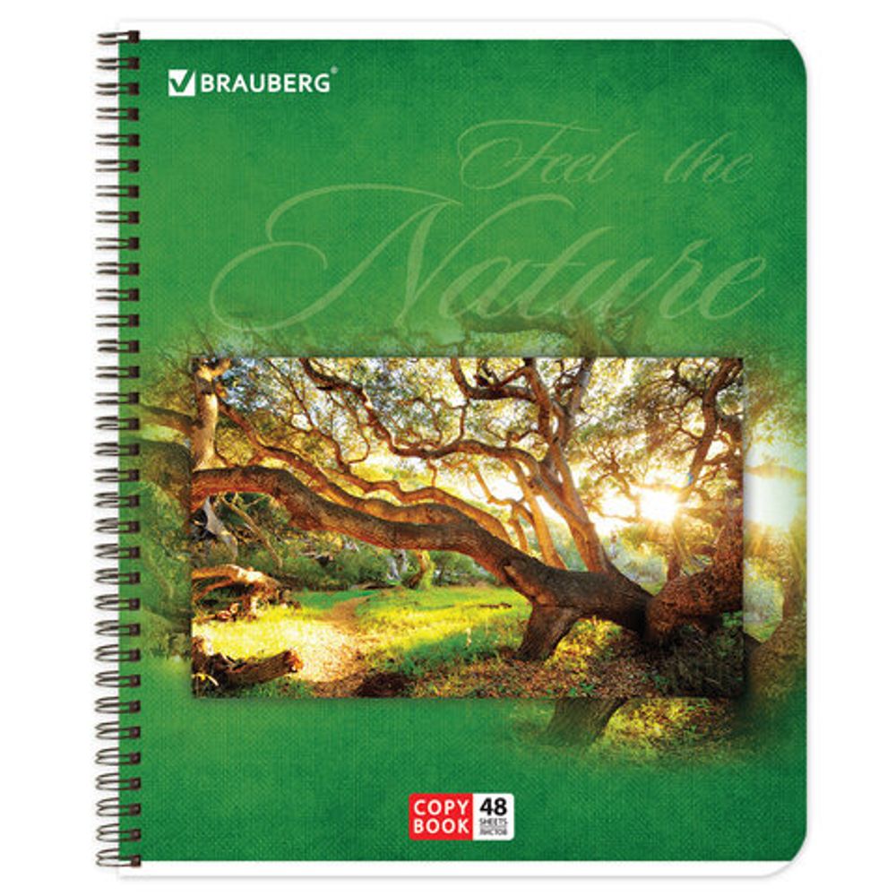 Тетрадь А5, 48 л., BRAUBERG ЭКО, гребень, клетка, обложка картон, ПРИРОДА, 401874, 4шт