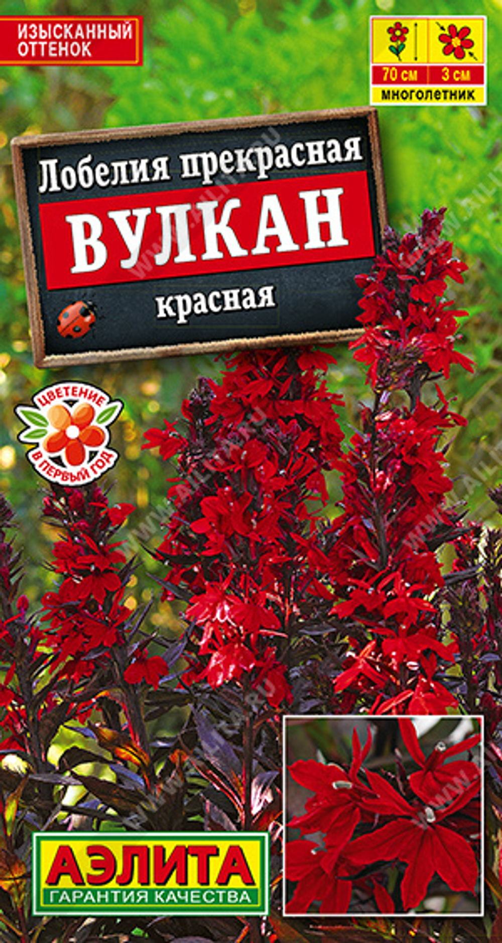Лобелия Вулкан красная 5шт Аэлита