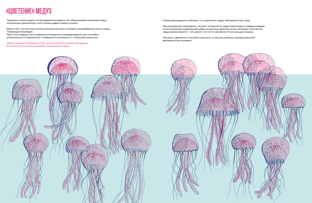 Сад медуз
