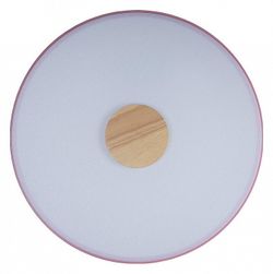 Накладной светильник Loft it Axel 2 10003/24 Pink