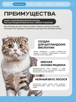 Корм сухой для взрослых кошек породы Шотландская вислоухая, с лососем, 400 гр, QUATTRO