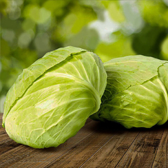 Фелисити F1 семена капусты белокочанной (Sakata / Саката)