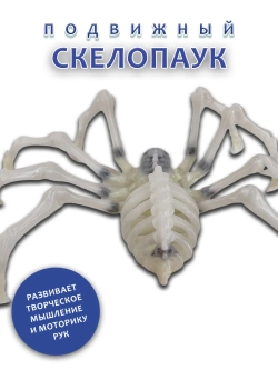 Скелет Паук