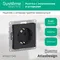 Розетка 1-м СП AtlasDesign 16А IP20 с заземл. защ. шторки механизм карбон SE ATN001045