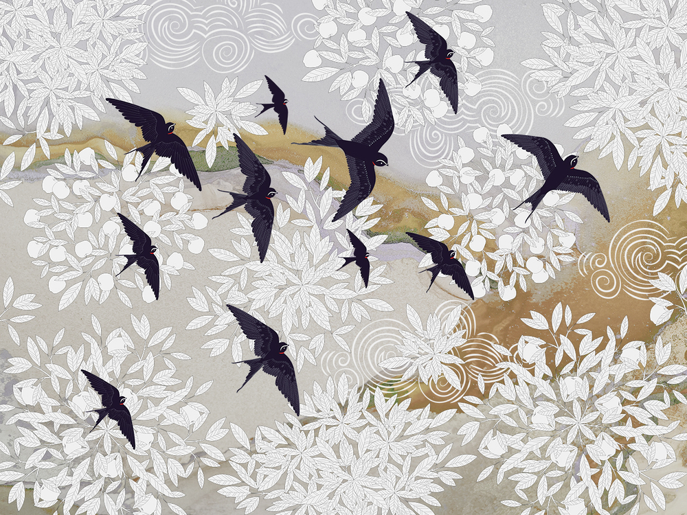 Коллекция GUSILEBEDY