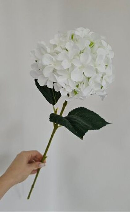 Гортензия / Арт 2095