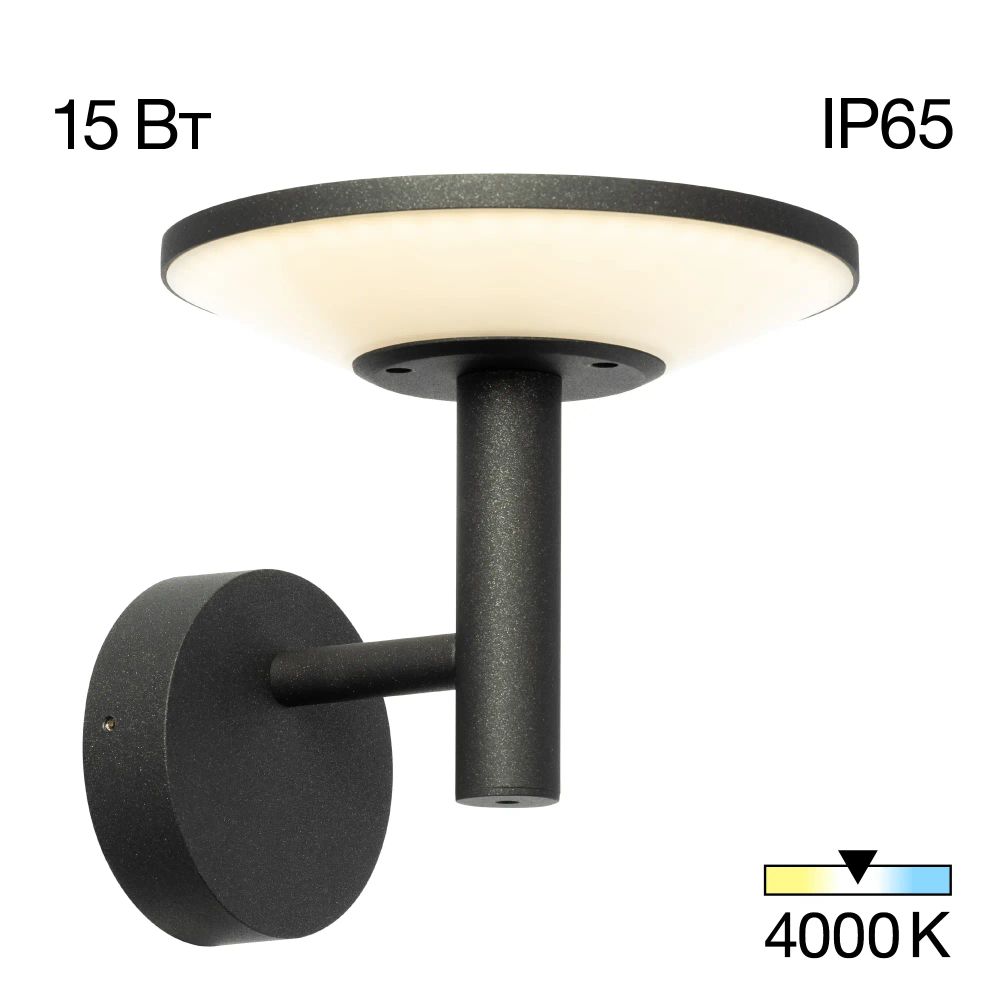 Citilux Dorn CLU05W LED Уличный настенный светильник Графит