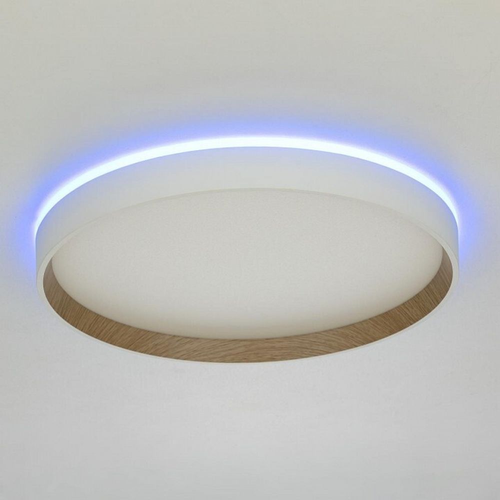 Накладной светильник Citilux ETALON CL750320R