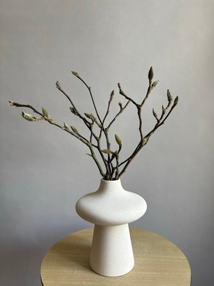 Магнолия ветки Вайт