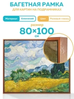 Металлическая багетная рама 80х100 см