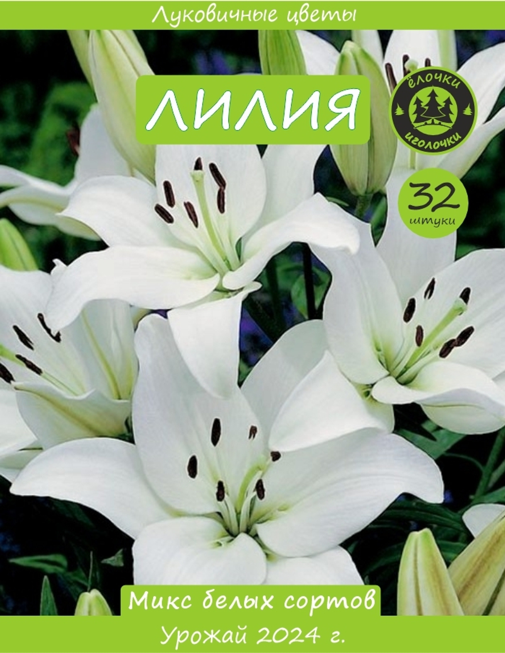 Лилия Луковица, Микс белые, 32шт