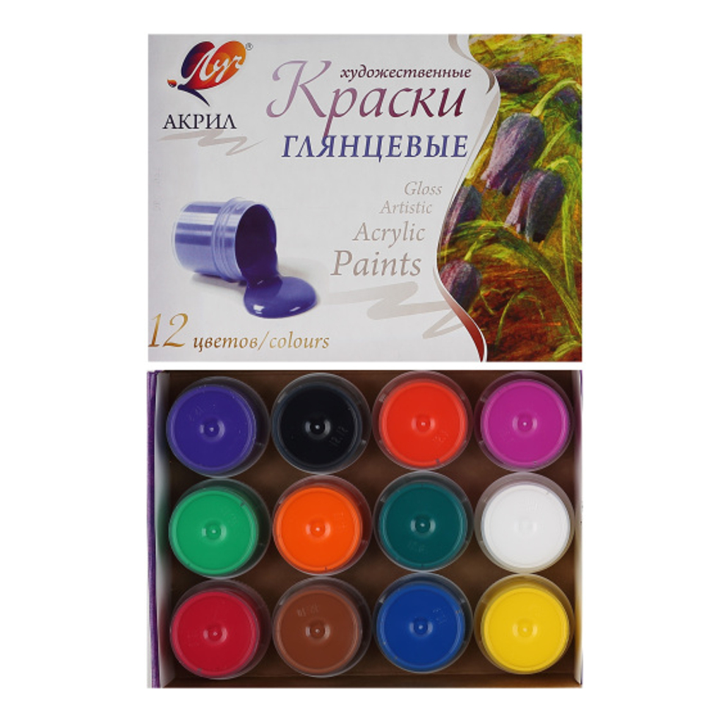 Краска акриловая художественная, 12 цветов, 20 мл, картонная коробка, Луч, 22С 1409-08
