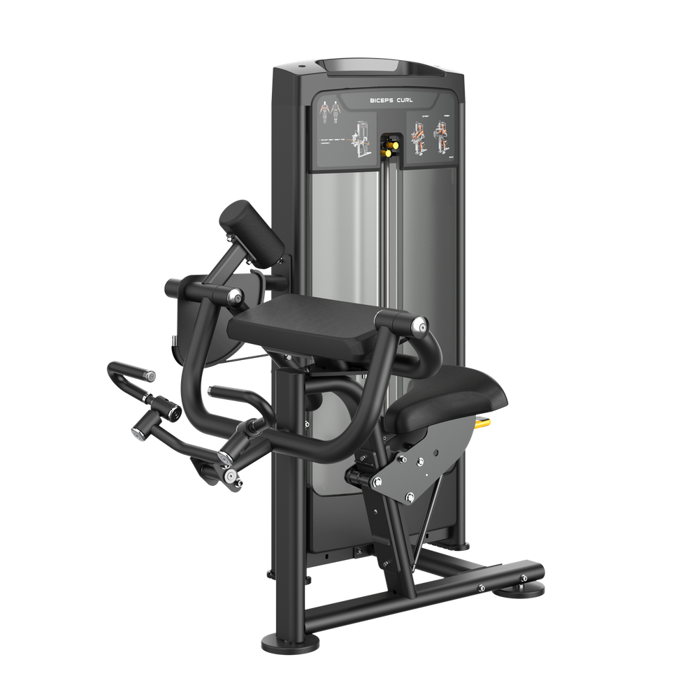 Бицепс SMITH RE8006
