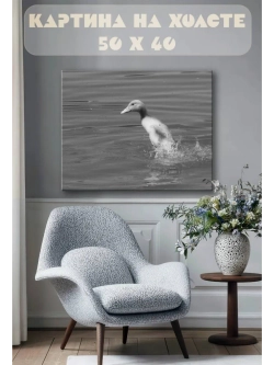 Картина на стену 40 X 50 Утка