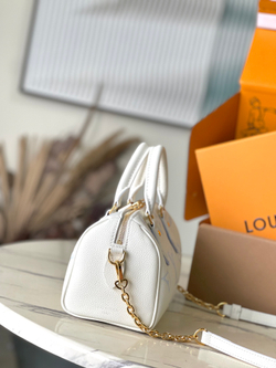 Louis Vuitton Speedy 20